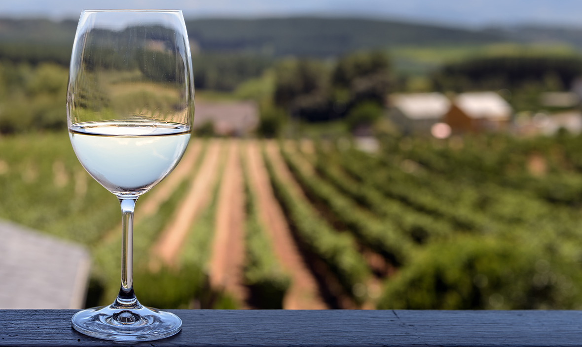 Close up of glass of white wine blurred vineyard background